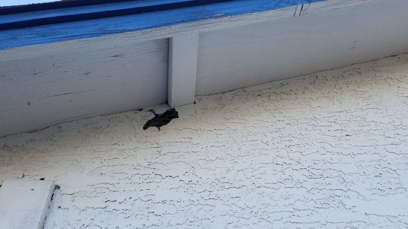 Loose Cladding Repair