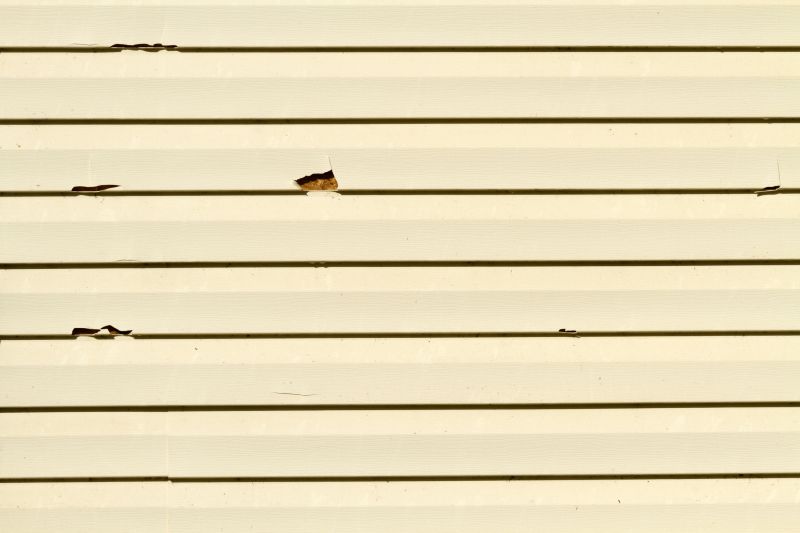 Assessing Vinyl Siding Damage